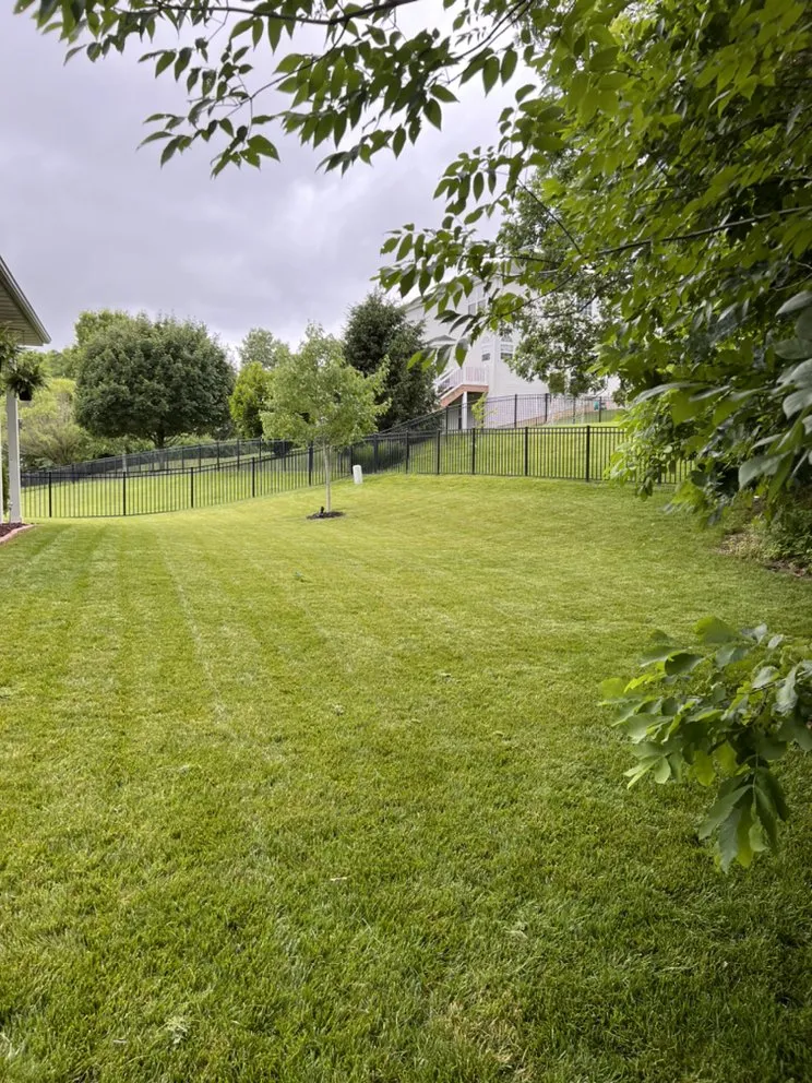 Expert landscape installation for outdoor upgrades across Dardenne Prairie, MO - Leave it To Roman