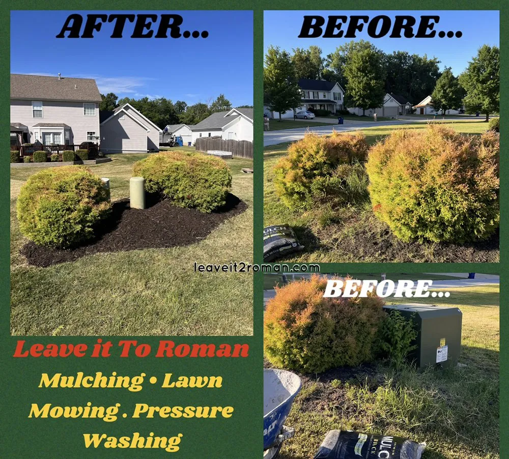 Expert yard cleanup service for beautiful yards in Dardenne Prairie, MO by Leave it To Roman