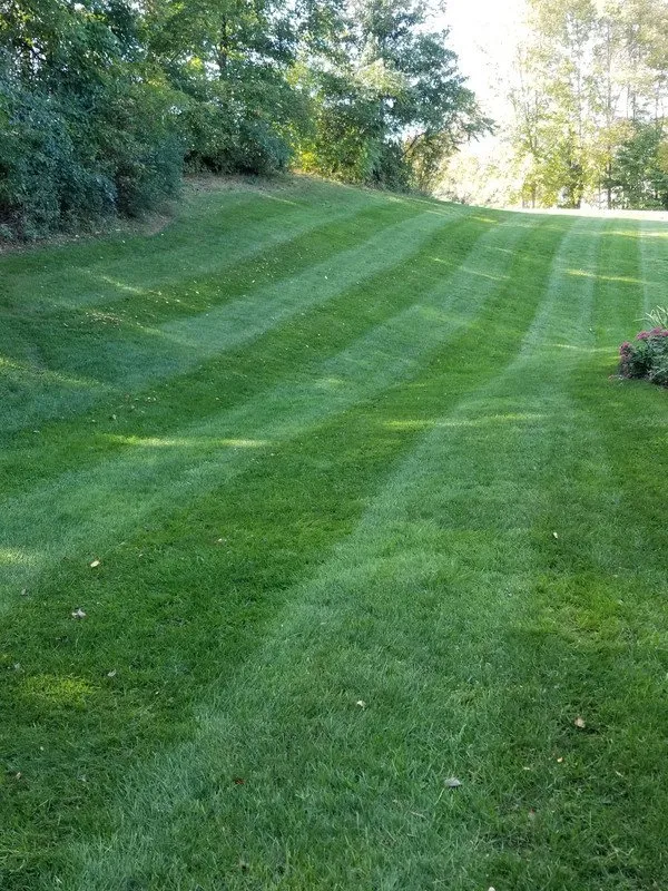 Professional landscaping services for year-round maintenance in Dardenne Prairie, MO by Leave it To Roman