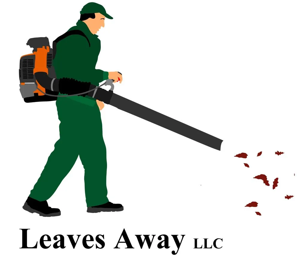 Professional landscape design for residential properties in Villa Rica, GA by Leaves Away