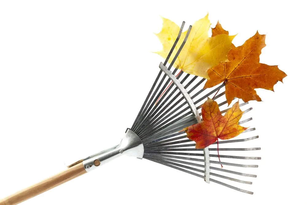 Custom outdoor landscaping in Villa Rica, GA by Leaves Away