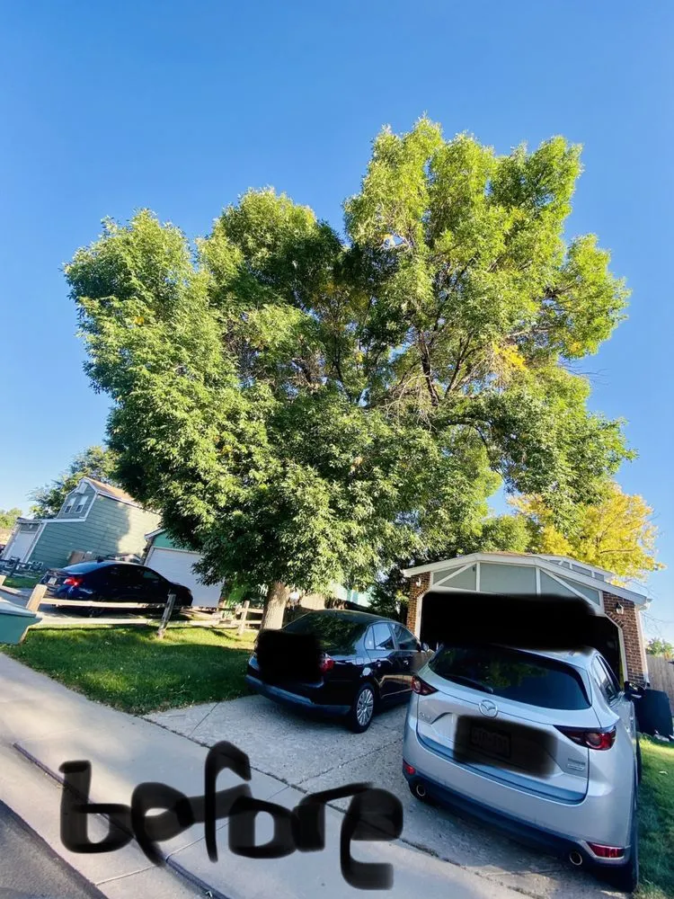 Reliable garden landscaping in Denver, CO by Leaves Landscaping