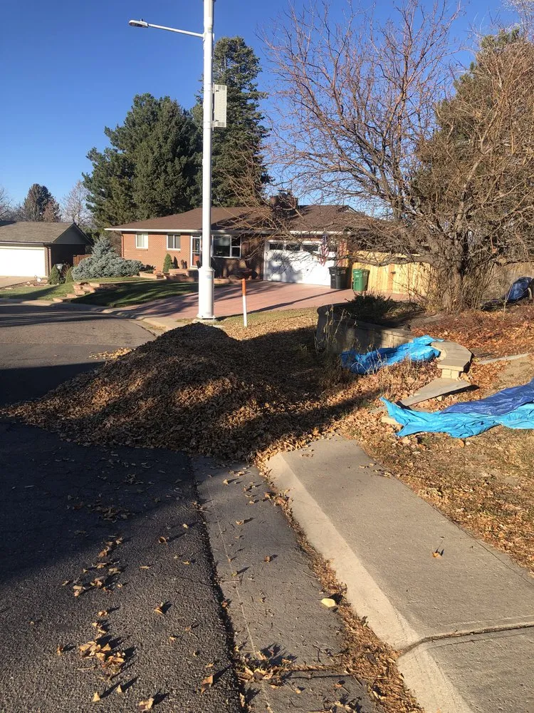 Custom yard maintenance in Denver, CO - Leaves Landscaping