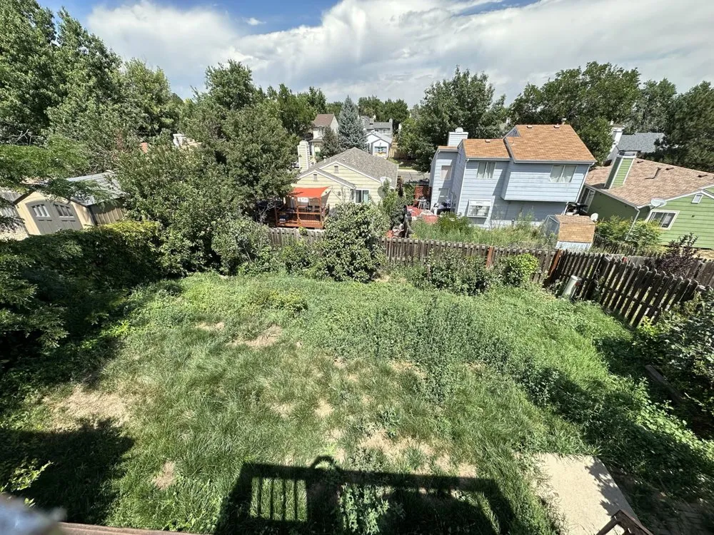 Top-rated landscape design with custom design in Denver, CO by Leaves Landscaping