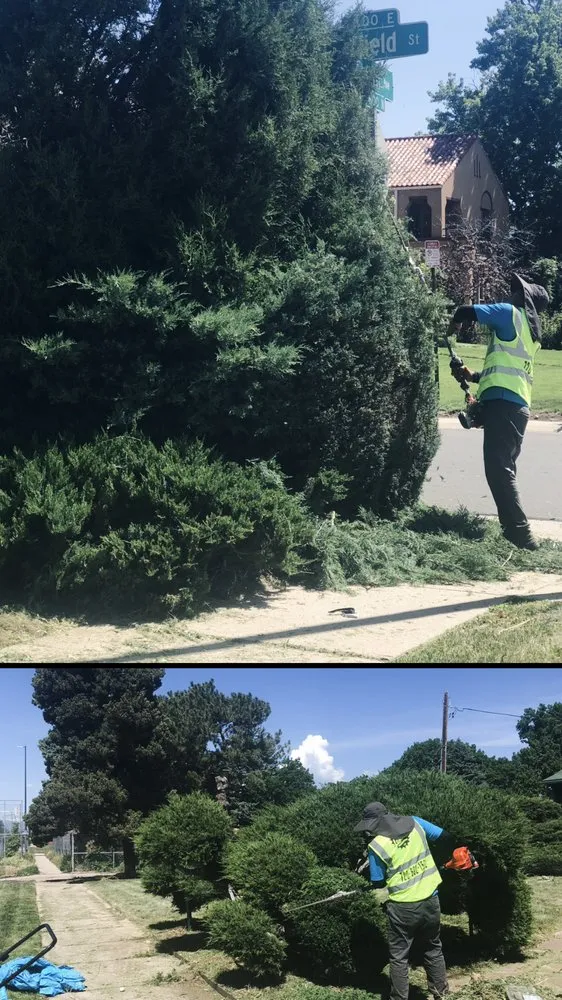 Top-rated landscape design experts serving Denver, CO - Leaves Landscaping