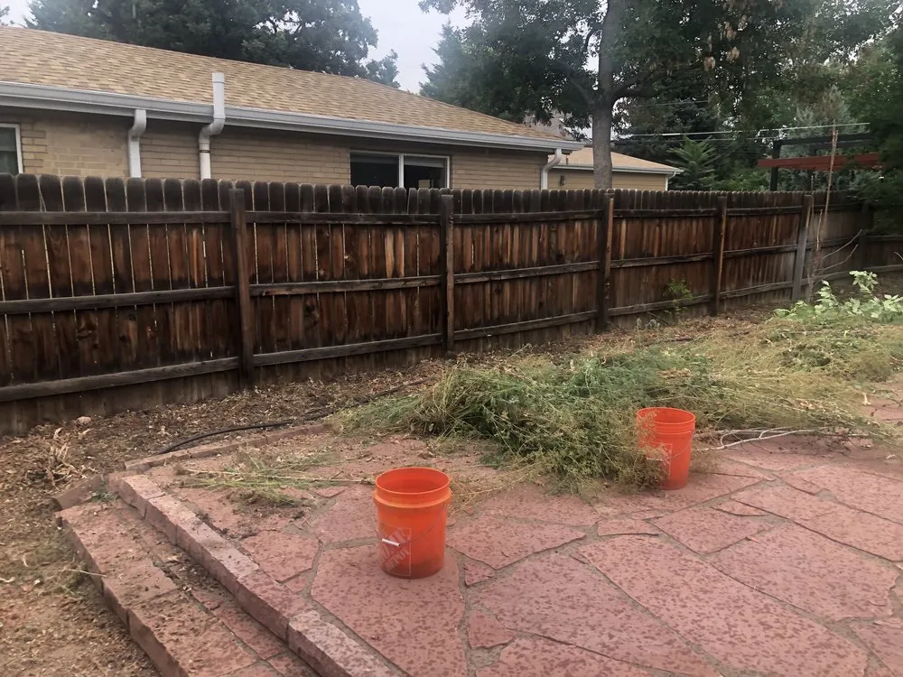 Expert garden landscaping in Denver, CO - Leaves Landscaping