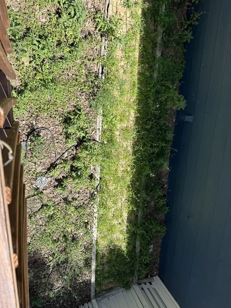 Top-rated yard cleanup service experts serving Denver, CO - Leaves Landscaping