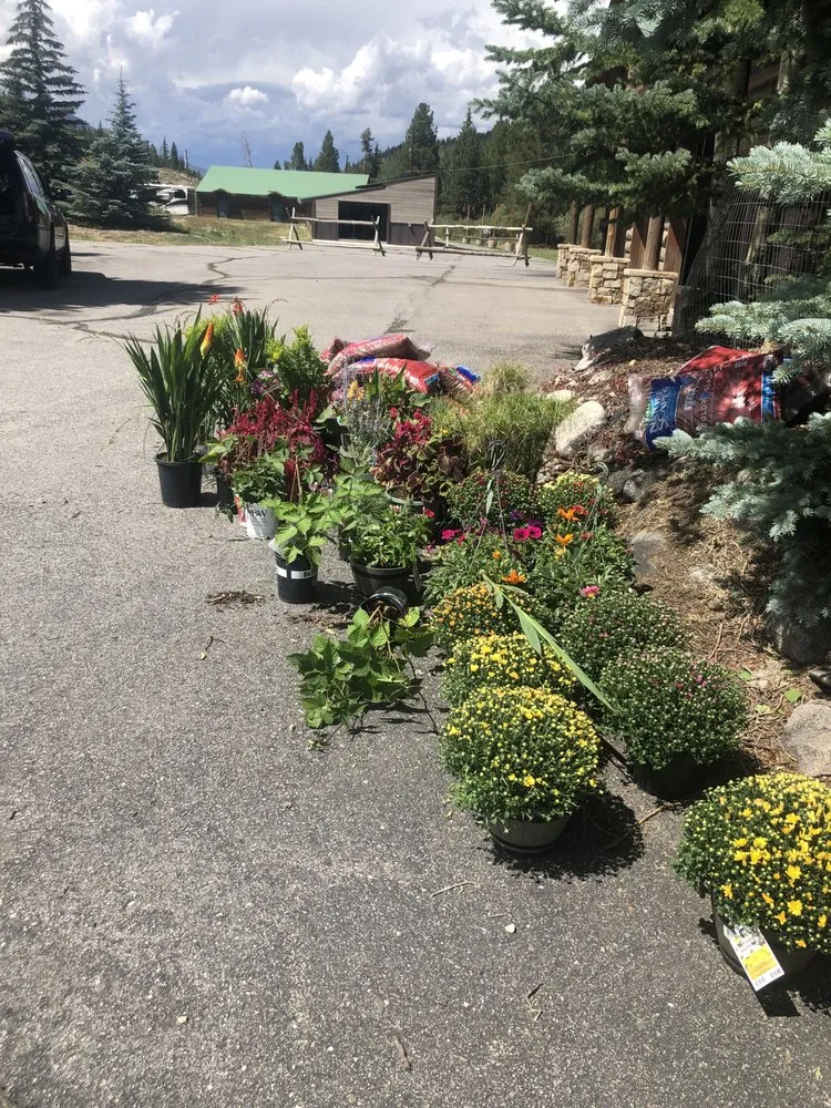 Reliable landscape installation for outdoor upgrades across Denver, CO - Leaves Landscaping