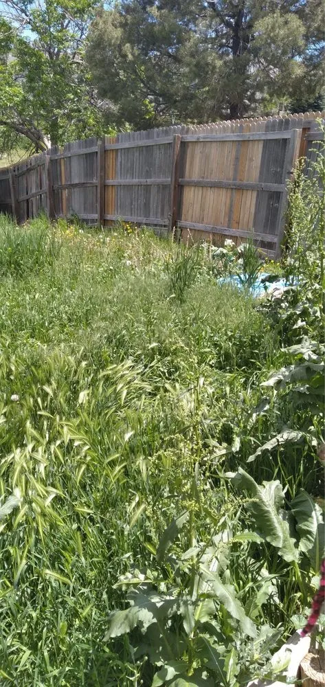 Top-rated landscape installation experts serving Denver, CO - Leaves Landscaping