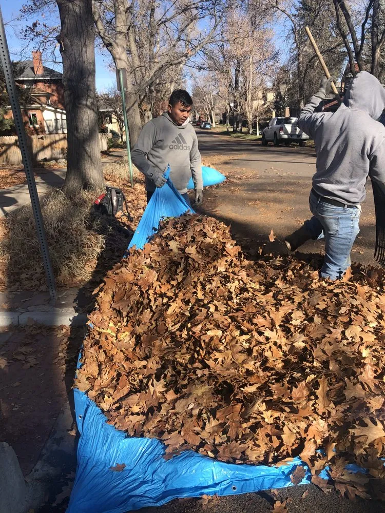 Affordable lawn care service experts serving Denver, CO - Leaves Landscaping