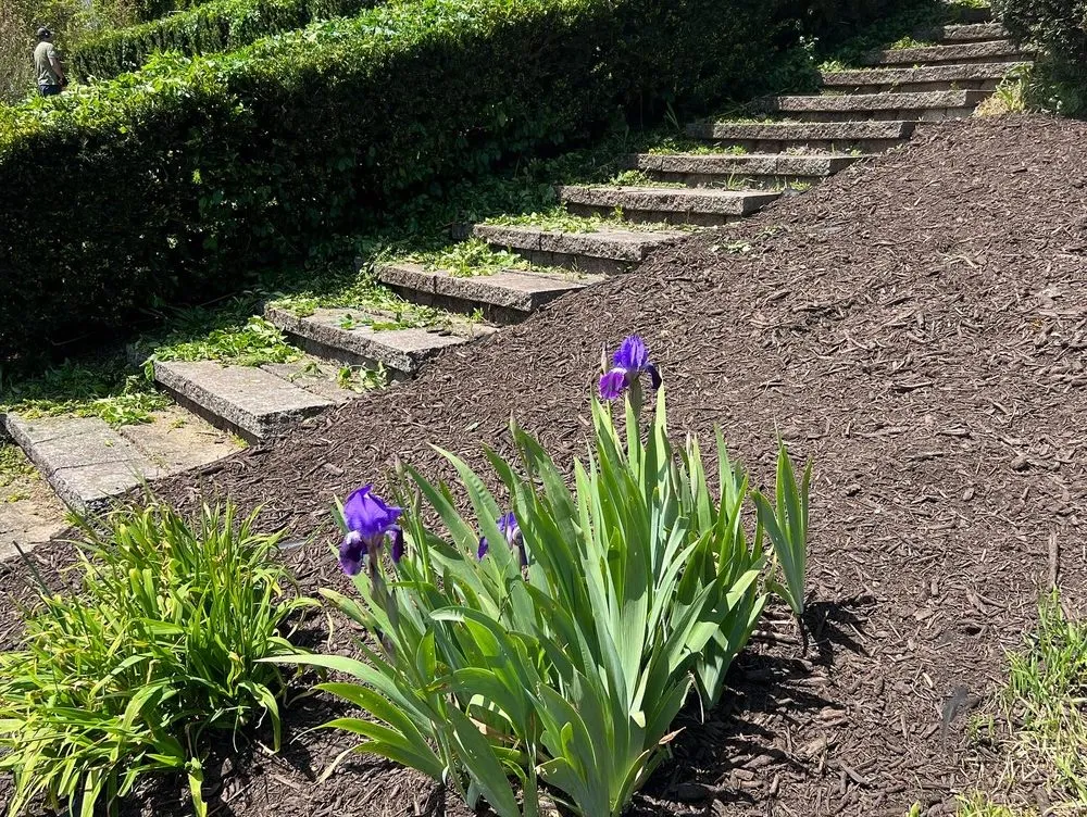 Local landscape design in Lebanon, PA - Lebanon Lawn Care