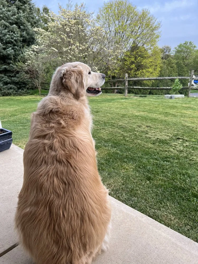 Local yard cleanup service in Lebanon, PA by Lebanon Lawn Care