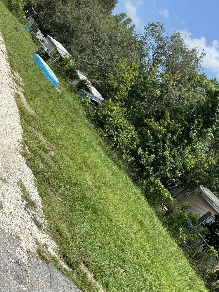 Custom residential landscaping for year-round maintenance across New Port Richey, FL - LeBarron’s Property Maintenance