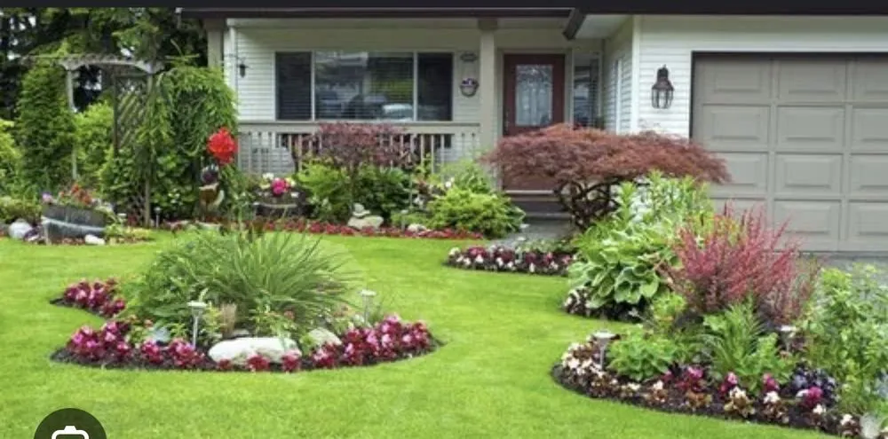 Reliable yard maintenance in New Port Richey, FL by LeBarron’s Property Maintenance