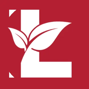 Affordable lawn mowing service in Hinsdale, MA by LeBeau Business Group