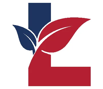 LeBeau Business Group