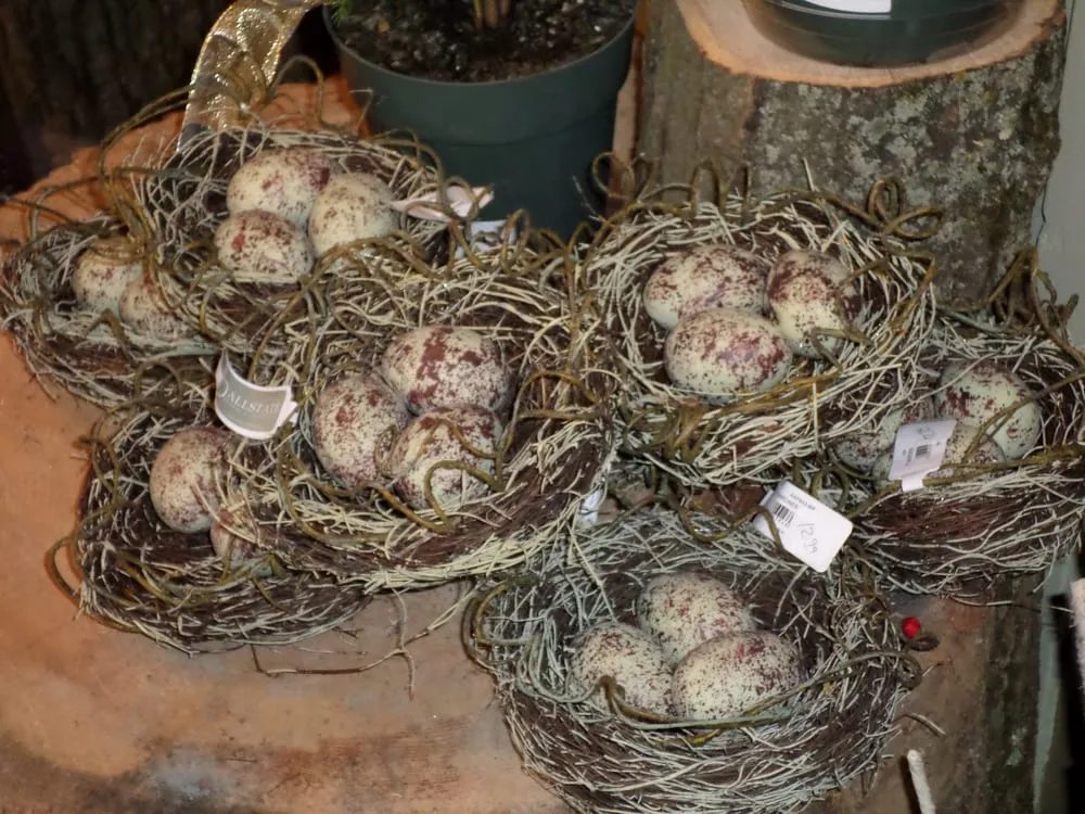 Trusted yard cleanup service in Downingtown, PA by LeBeau Gardens