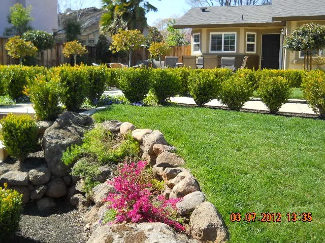Affordable yard maintenance in Brentwood, CA - Lebec