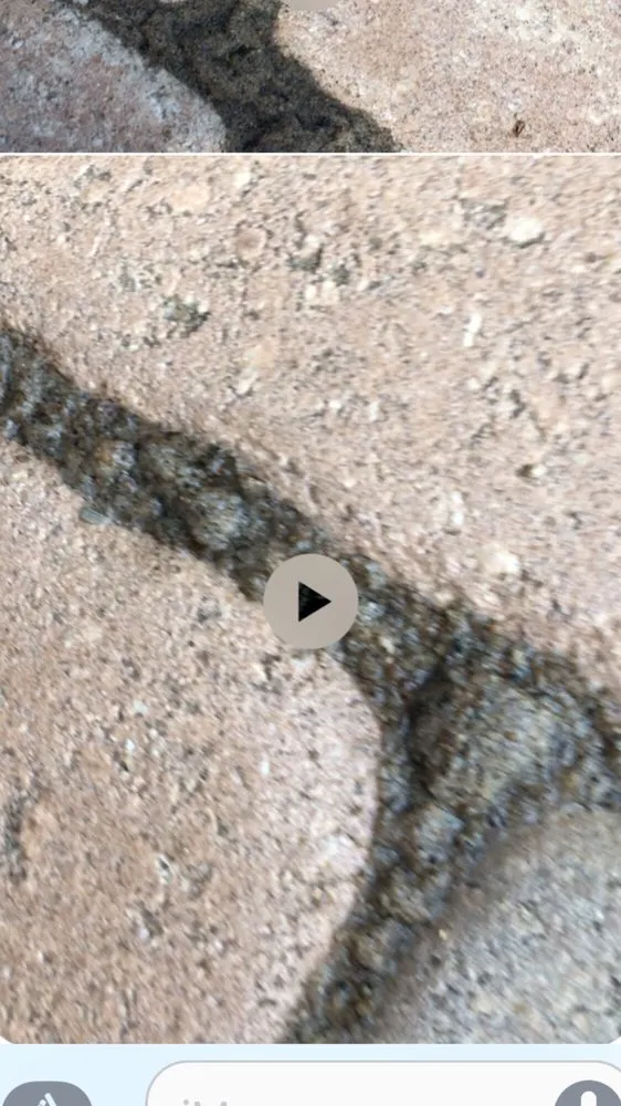 Local outdoor landscaping in Thonotosassa, FL - LeBel Landscaping