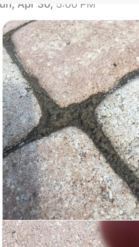 Top-rated landscaping services for residential properties in Thonotosassa, FL by LeBel Landscaping