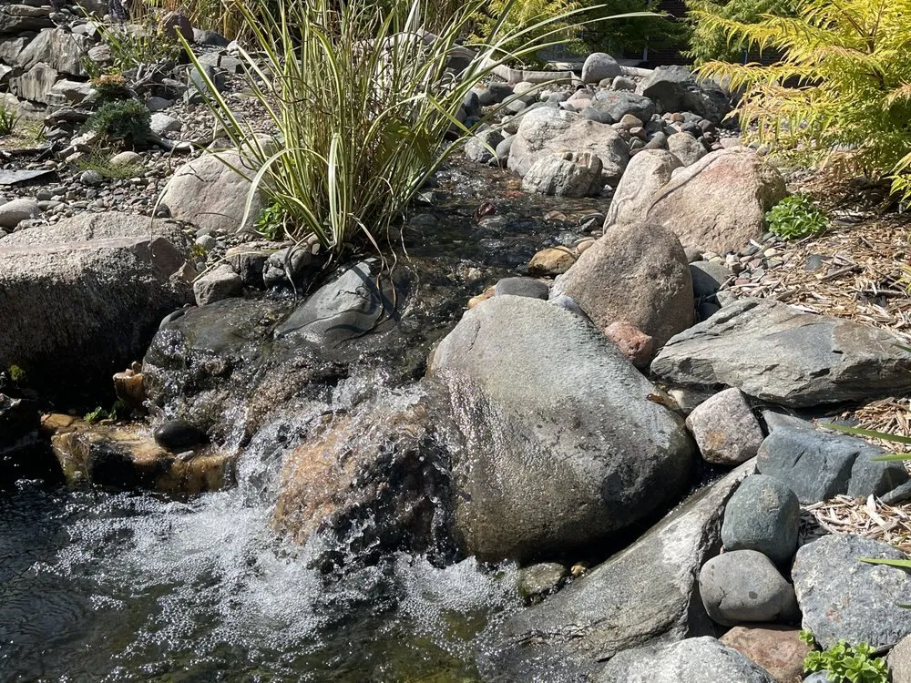 Local yard cleanup service for beautiful yards across Hugo, MN - LebenScape Designs