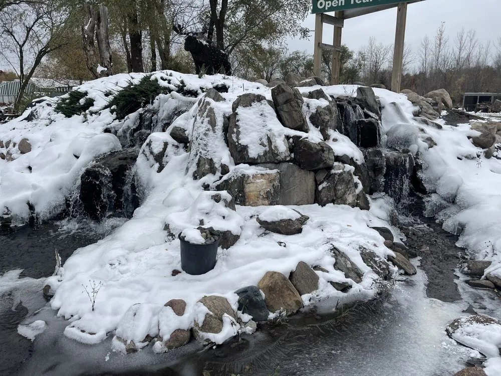 Reliable yard cleanup service experts serving Hugo, MN - LebenScape Designs