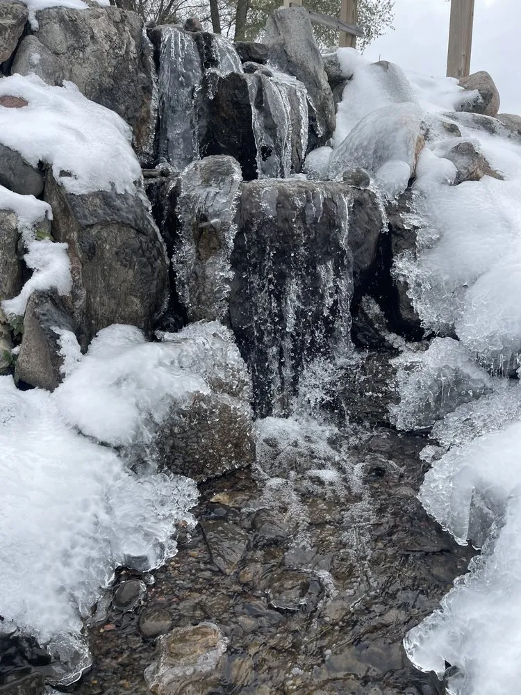 Local lawn care service with custom design in Hugo, MN by LebenScape Designs