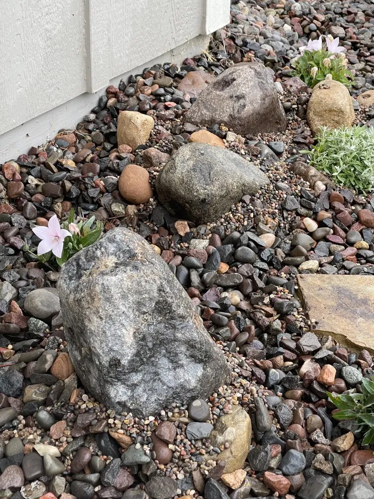 Trusted garden landscaping for year-round maintenance in Hugo, MN by LebenScape Designs