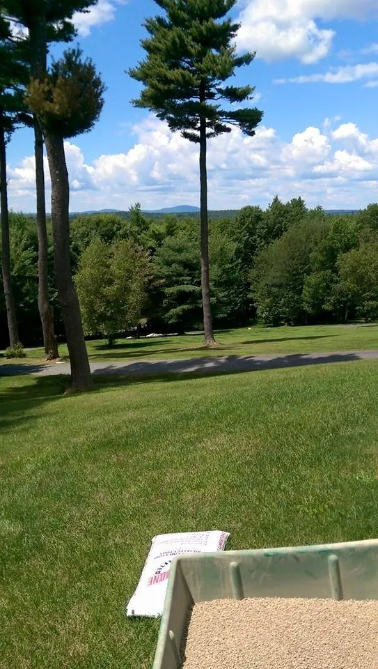 Top-rated lawn care service in Worcester, MA by LeBoeuf Lawn Care