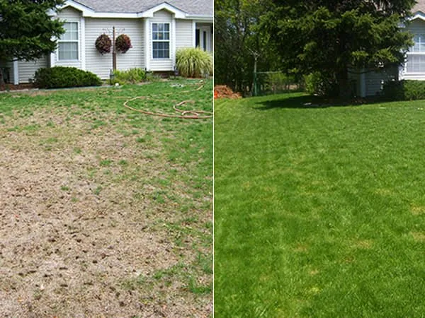 Custom residential landscaping for beautiful yards in Worcester, MA by LeBoeuf Lawn Care