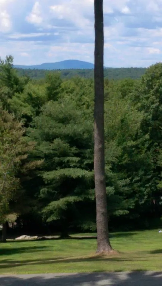 Top-rated residential landscaping with custom design in Worcester, MA by LeBoeuf Lawn Care