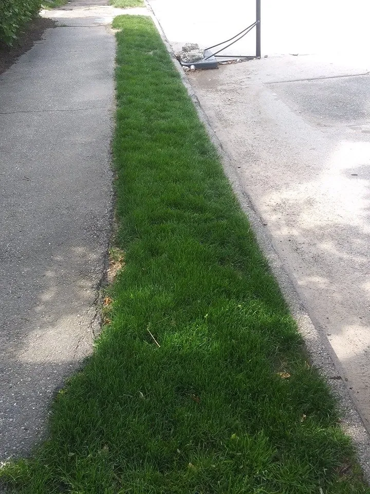 Custom lawn mowing service for year-round maintenance in Worcester, MA by LeBoeuf Lawn Care