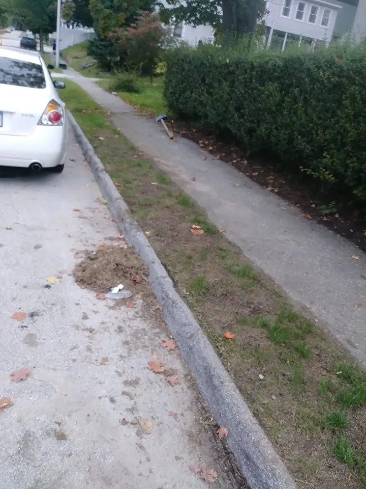 Expert yard maintenance in Worcester, MA - LeBoeuf Lawn Care