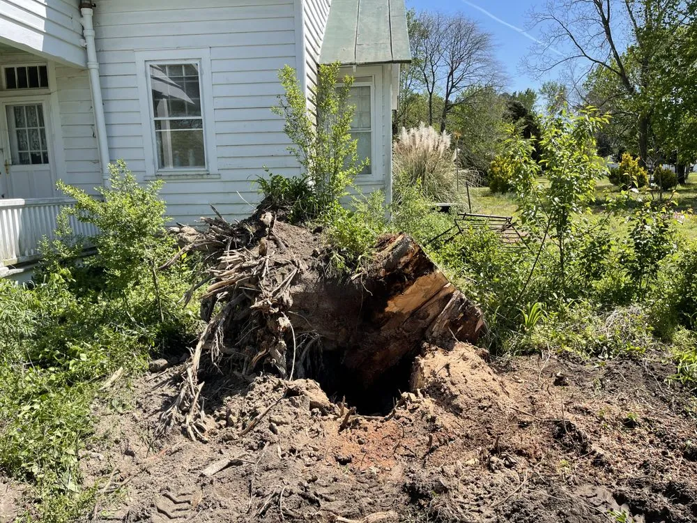 Local yard maintenance for residential properties across Suffolk, VA - Lebron Farm Works