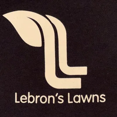 Lebron's Lawn