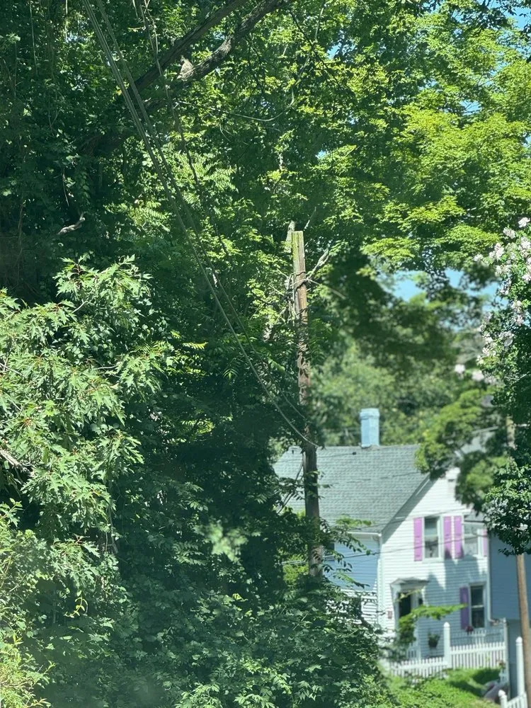 Trusted landscaping services experts serving Norwich, CT - LeClaire Landscaping