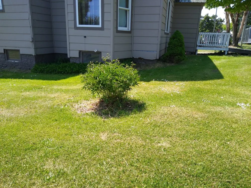 Reliable lawn care service experts serving Baraga, MI - LeClaire Lawn Care