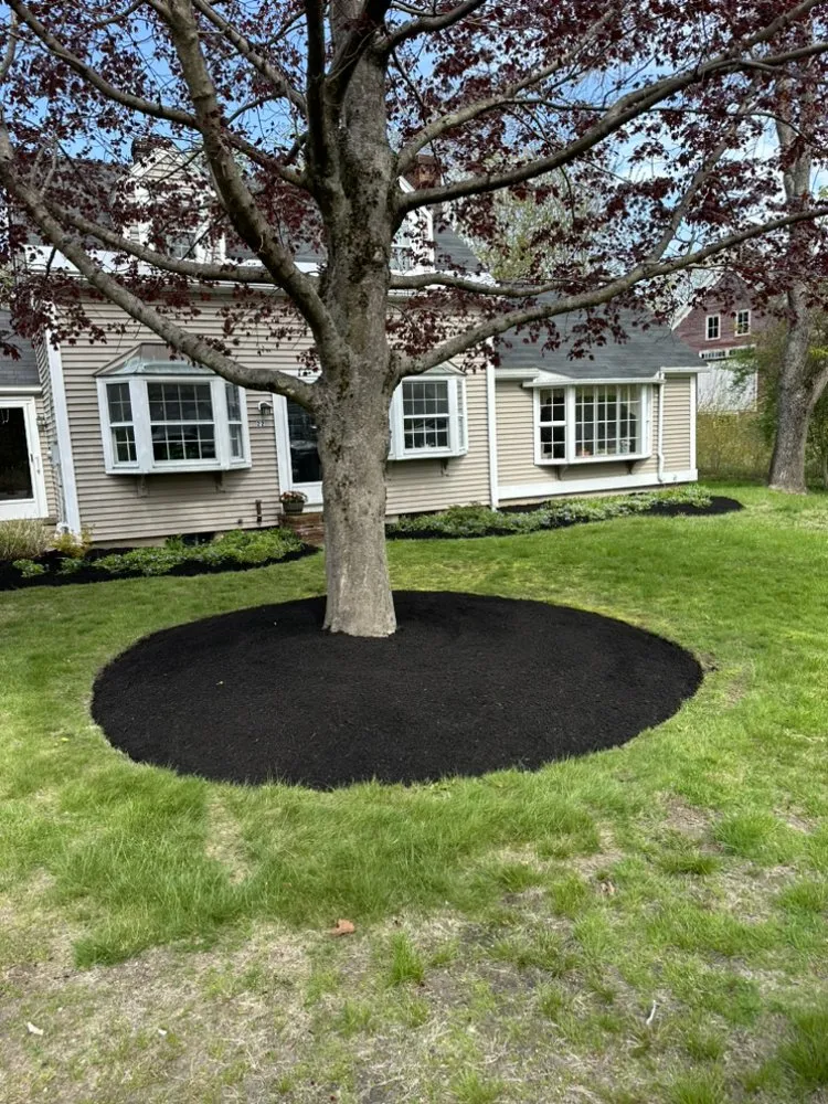 Local lawn care service in Hampton, NH by Leclercs Home Services