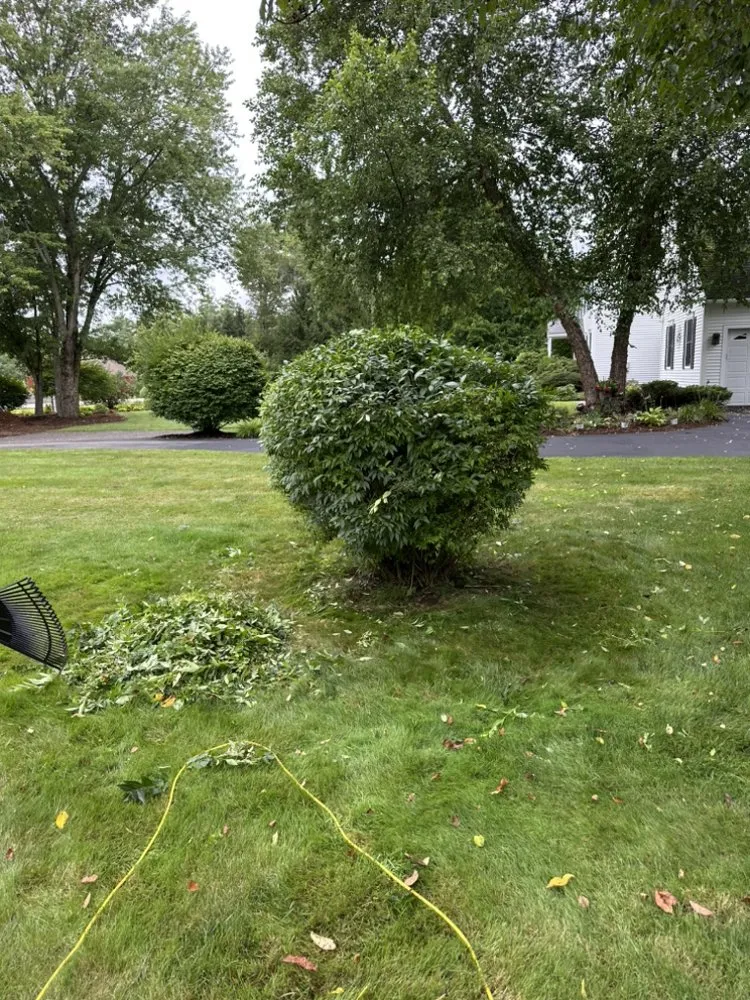 Top-rated lawn care service with custom design across Hampton, NH - Leclercs Home Services