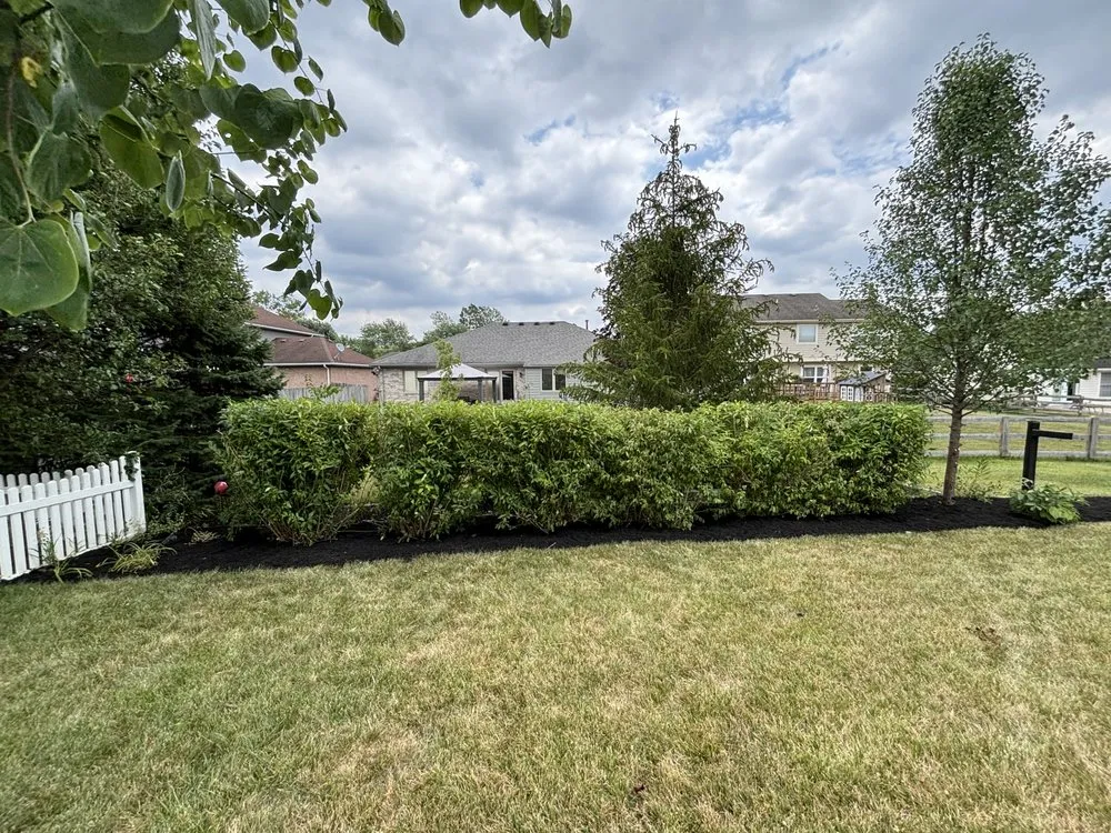 Local lawn mowing service experts serving Dayton, OH - Ledbetters Lawn Care