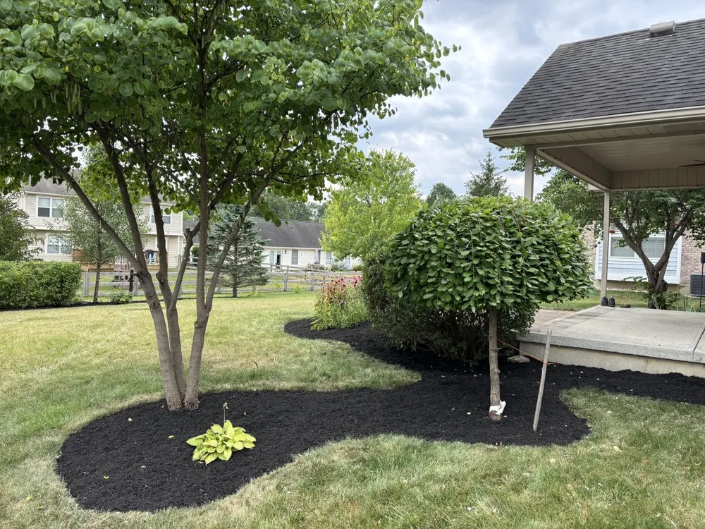 Reliable yard cleanup service in Dayton, OH - Ledbetters Lawn Care