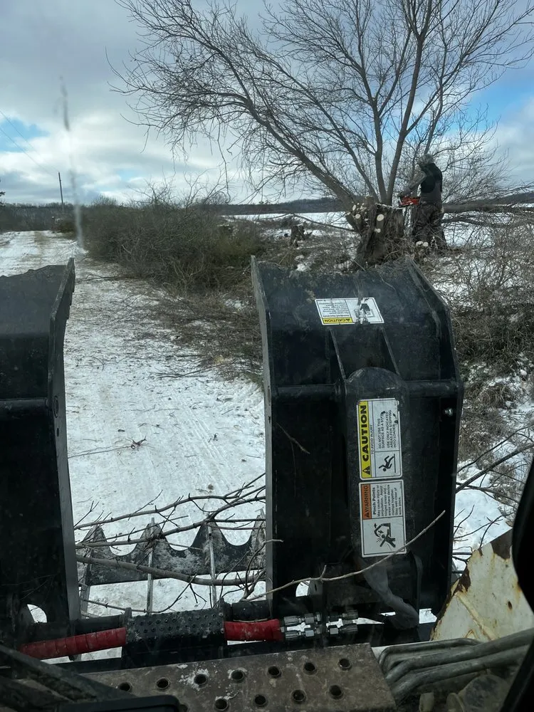 Top-rated yard cleanup service in Houston, MN - Ledebuhr Outdoor Services