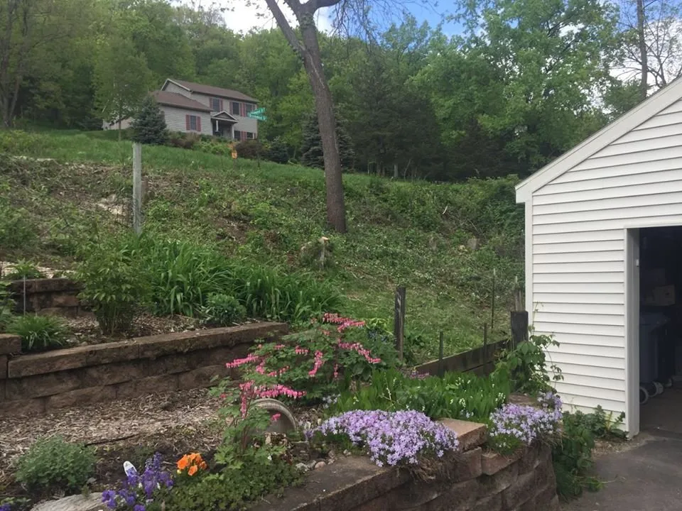 Top-rated lawn mowing service for homes in Houston, MN by Ledebuhr Outdoor Services