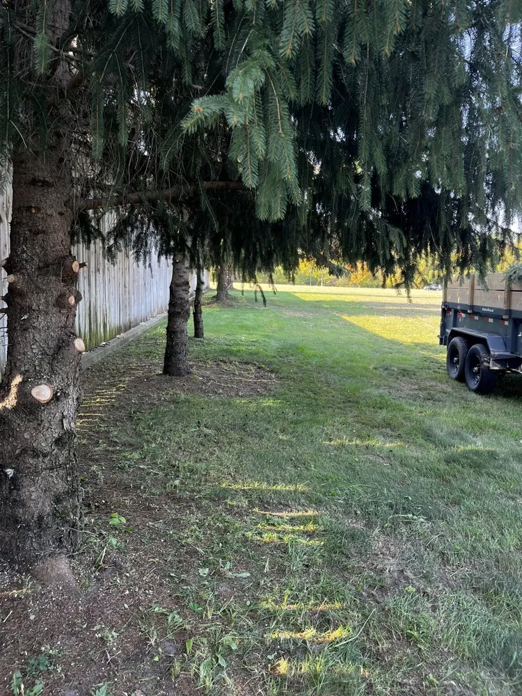 Professional yard maintenance for beautiful yards in Houston, MN by Ledebuhr Outdoor Services