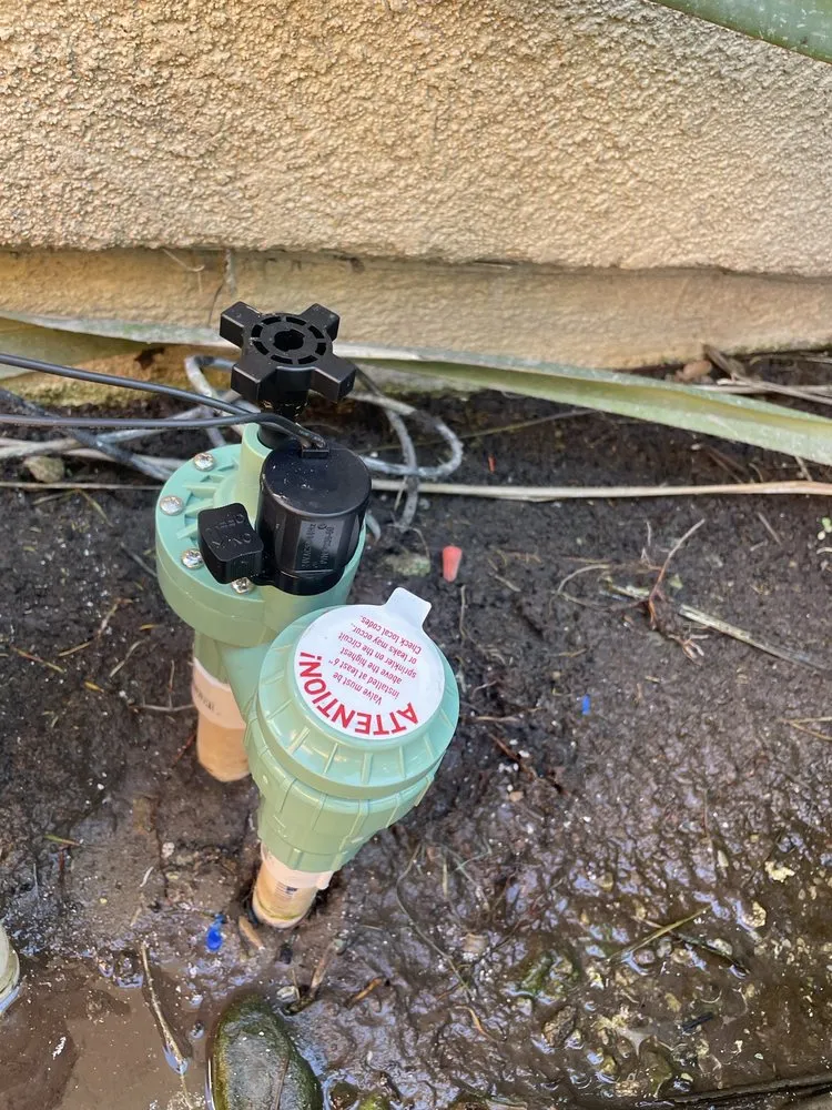 Reliable yard maintenance in Oxnard, CA - Ledesma Landscape