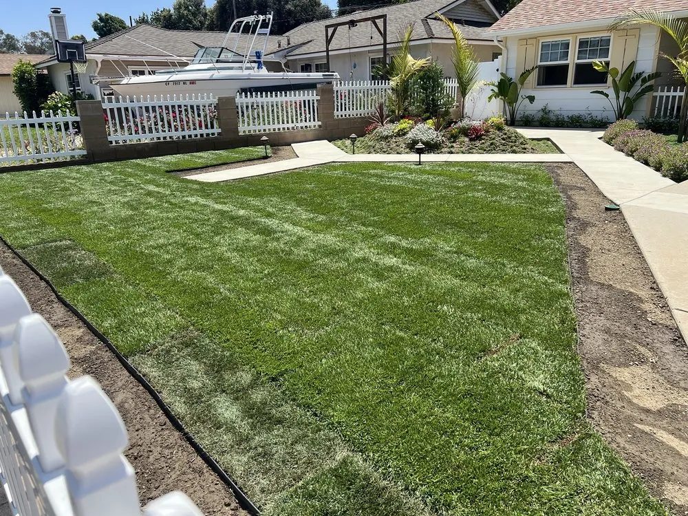 Local yard cleanup service experts serving Oxnard, CA - Ledesma Landscape