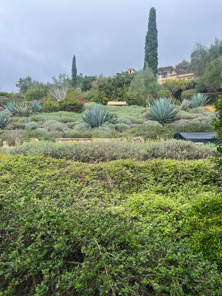 Trusted landscape design for outdoor upgrades in Oxnard, CA by Ledesma Landscape