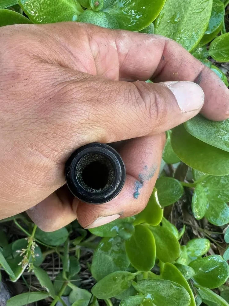 Reliable yard maintenance experts serving Oxnard, CA - Ledesma Landscape