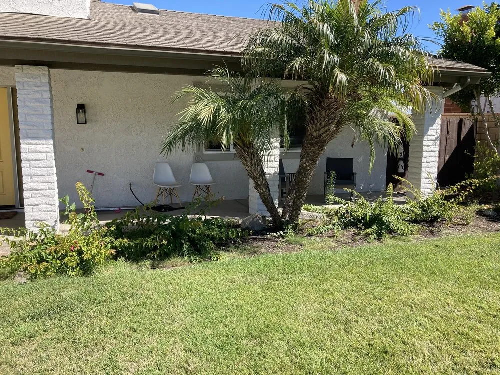 Expert yard maintenance for year-round maintenance across Oxnard, CA - Ledesma Landscape