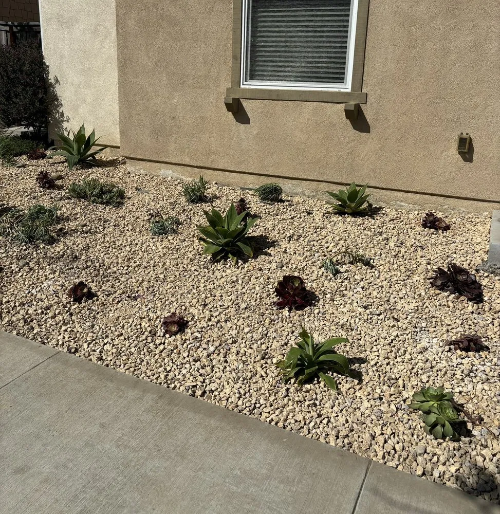 Affordable lawn care service experts serving Oxnard, CA - Ledesma Landscape